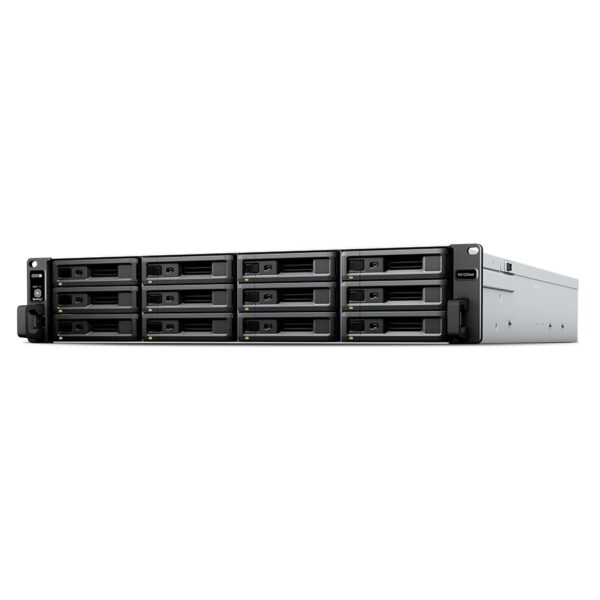 Synology RX1222sas