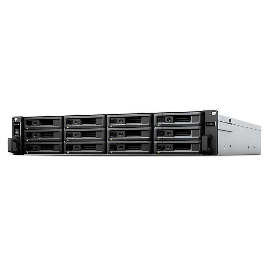 Synology RX1222sas