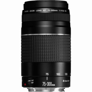 Canon EF 75-300 mm f/4-5,6 III