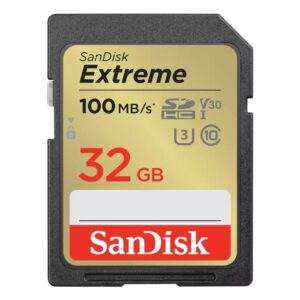 SanDisk SDSDXVT-032G-GNCI2 memory card