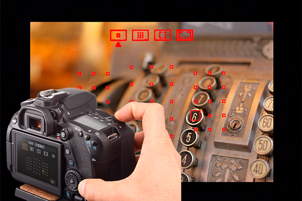 Fotografía general: de 0 a 100 en una formación