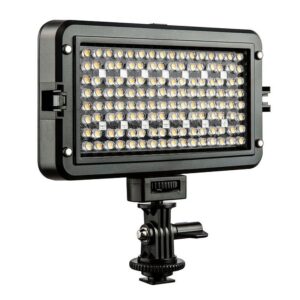 RB10 LED Light