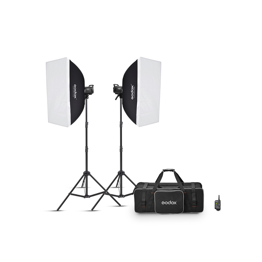 MS300V F Dual Studio Flash Kit