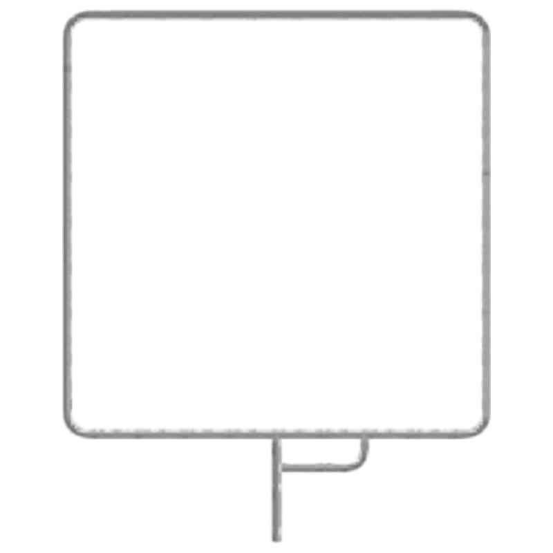 Flag Frame for F200Bi