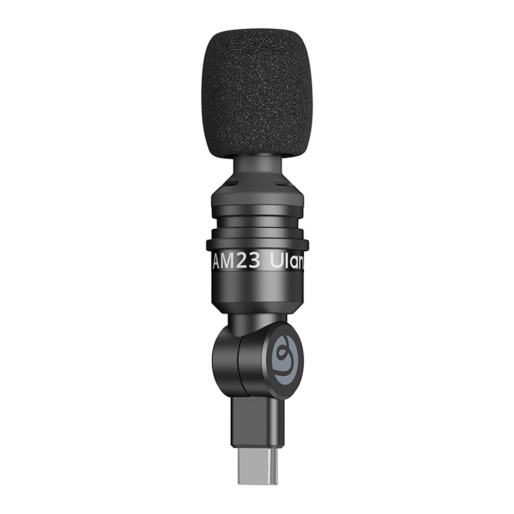 AM23 Type C Mini Mic