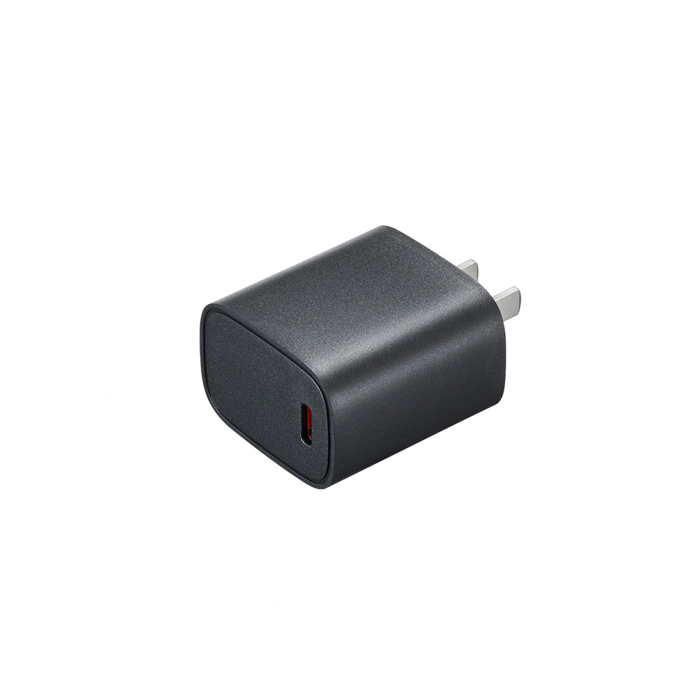 PD charger with Type C cable for AD200ProII