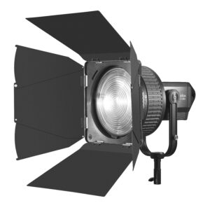 Fresnel barndoor for 10 inch lens