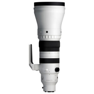 SIGMA 300-600mm F4 DG OS Sports
