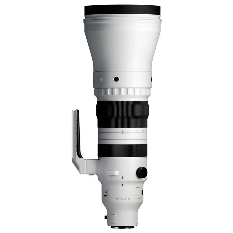 SIGMA 300-600mm F4 DG OS Sports
