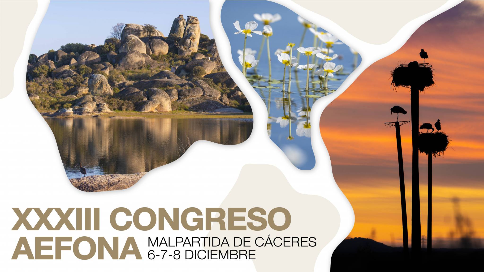XXXIII Congreso AEFONA, Malpartida de Cáceres