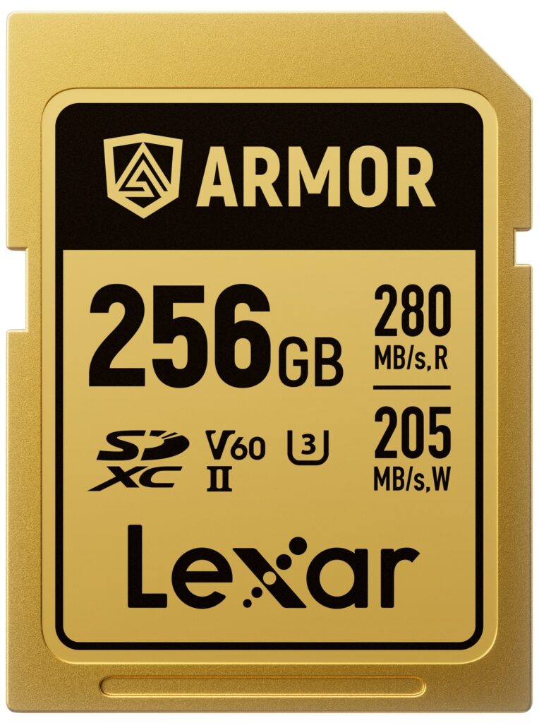 SDXC Pro Gold Series ARMOR UHS-II 256GB V60 IP68 Stainless Steel R280/W205MB/s