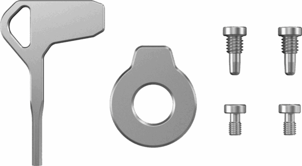 4385 Screw Set with Screwdrivers (Stainless Steel)