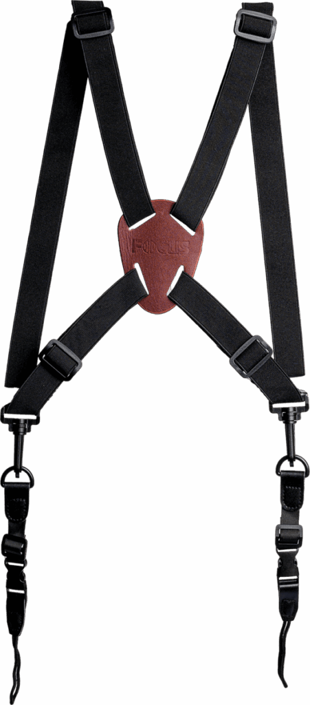 Harness with buckle