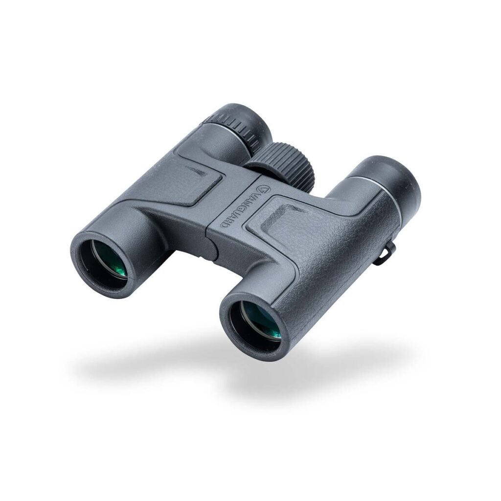 Vanguard Vesta 1025 – Prismáticos compactos 10×25