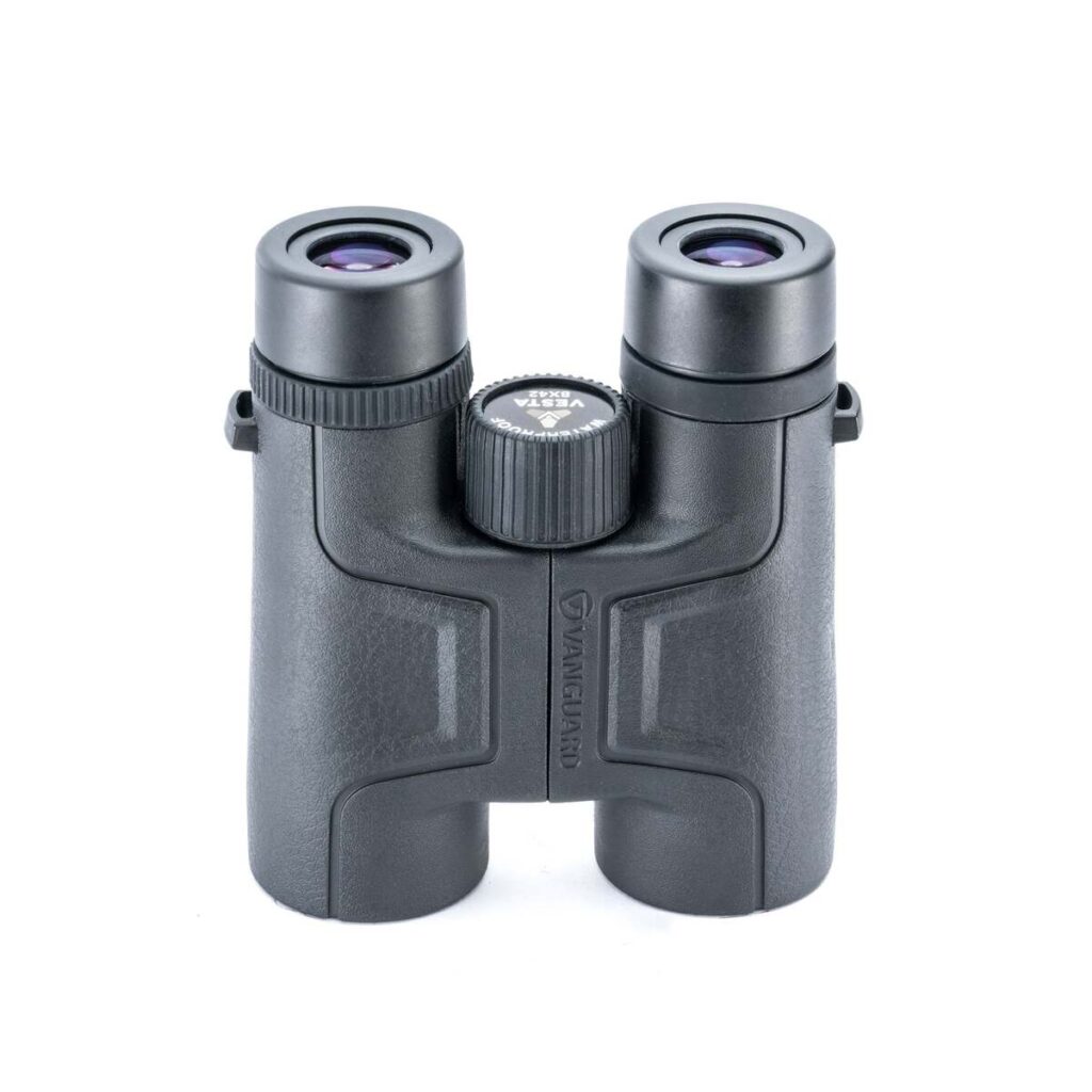 Vanguard Vesta 1042 – Prismáticos compactos 10×42