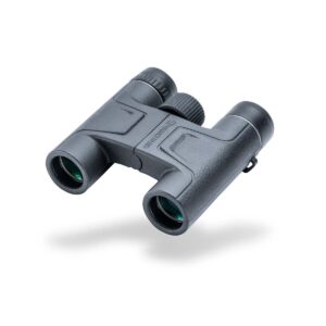 Vanguard Vesta 8250 – Prismáticos 8×25