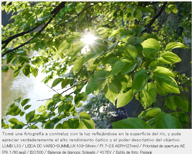 Captura de pantalla 2026-05-20 004706