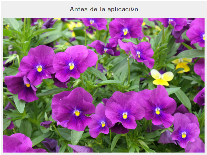 Captura de pantalla 2026-05-28 225351