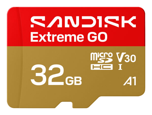 SanDisk Extreme GO